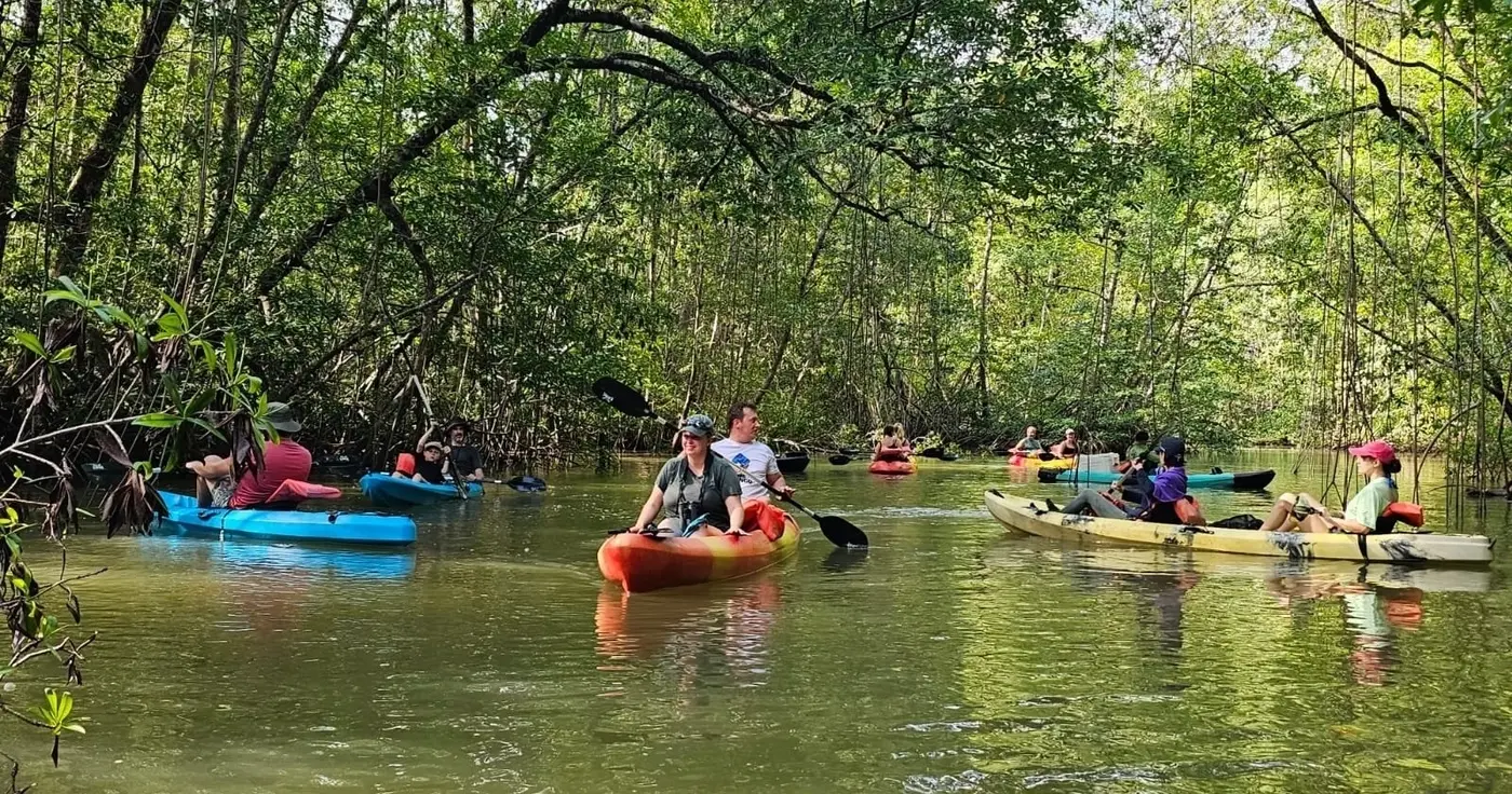Mangrove Kayak – Uvita, Costa Rica