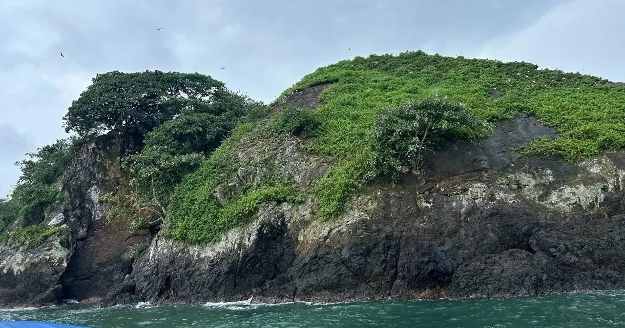 Violin Island: A Wild Paradise Amid Mangroves & Rivers – Uvita, Costa Rica
